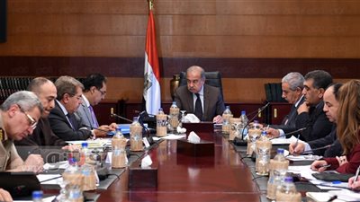 «الدواء والغذاء خط أحمر»..الحكومة تتفاوض مع شركات الأدوية الخاصة لاستيراد الناقص لمدة عام.. شريف إسماعيل: أرصدة السكر تكفي حتى فبراير والقمح 6 أشهر واللحوم 5 أشهر