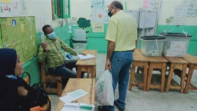 إقبال كبار السن على اللجان الانتخابية بالاسكندرية قبل غلق صناديق الاقتراع