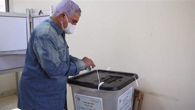 وفد من جامعة الدول العربية يتفقد سير انتخابات النواب بالجيزة