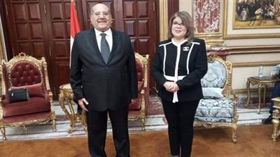 رئيس مجلس الشيوخ: راعينا تمثيل كافة الأطراف السياسية والفكرية في لجنة إعداد اللائحة