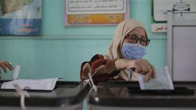 باحث: كنا نرى مشاهد توزيع الزيت والسكر على الناخبين أيام الإخوان | فيديو