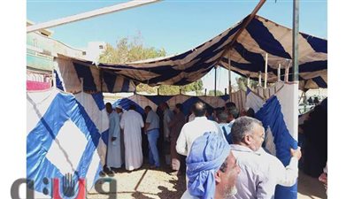 إقبال كثيف على لجان انتخابات النواب في الواحات بالجيزة | صور