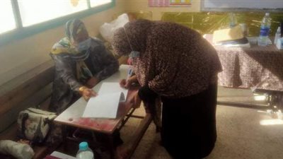 بدء توافد المواطنين بعد انتهاء الاستراحة بلجان الانتخابات في ناهيا | فيديو