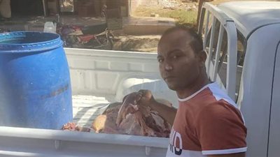 ضبط لحوم  بأختام مزورة تم ذبحها خارج المجازر بالوادي الجديد |  صور