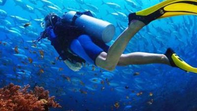 السياحة تفحص ٥٠ مركز غوص و ٤٩ للأنشطة بحرية