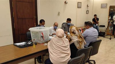 محافظ البحيرة بعد غلق الصناديق: الأهالي انتفضوا لتلبية نداء الوطن