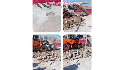 حي الهرم يواصل استعدادات موسم الشتاء وتركيب كشافات بالمنصورية | صور