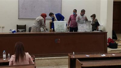 الحصر العددي لأصوات المرشحين باللجنة الفرعية 28 و83 بالجيزة