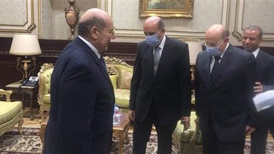 عبد الوهاب عبد الرازق يستقبل رئيس مجلس الدولة