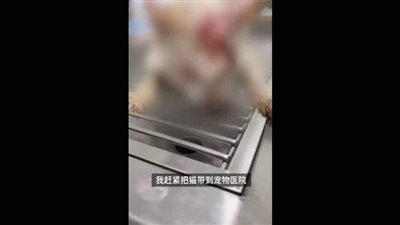 موجة غضب في الصين جراء قتل موظف أمن لـ 