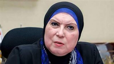 نيفين جامع:  بيع 900 كراسة شروط من اجمالى 1650  لوحدات المجمعات الصغيرة حتى الان