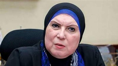 وزيرة الصناعة: تسهيلات خاصة للاستثمار بالصعيد ومطلوب الجدية فقط