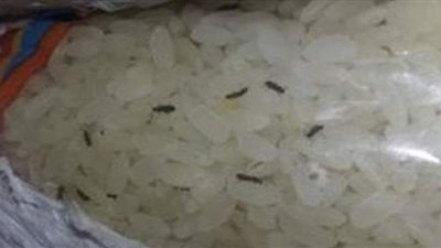 تحتوي على حشرات.. مصادرة 39 طن أرز تموينى داخل شركة بالقاهرة