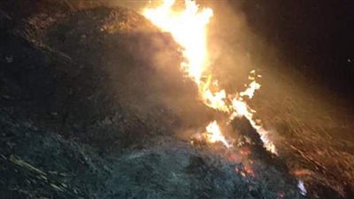 تحرير 206 محاضر للحرق المكشوف لمخلفات الذرة بأسيوط