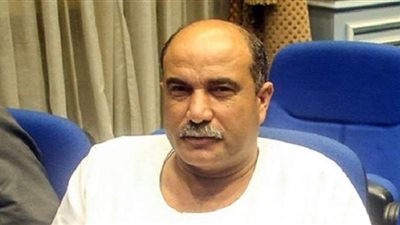 برلماني يطالب المصريين بالمشاركة الإيجابية فى انتخابات المرحلة الثانية بمجلس النواب