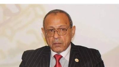 رئيس الحركة الوطنية يطالب  بالمشاركة فى المرحلة الثانية من انتخابات النواب