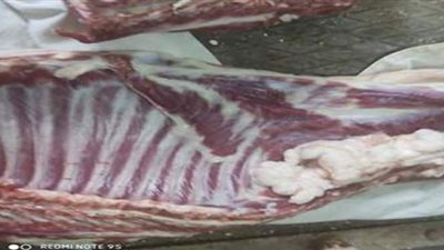 ضبط كميات من اللحوم مذبوحة خارج المجازر الحكومية بالإسماعيلية