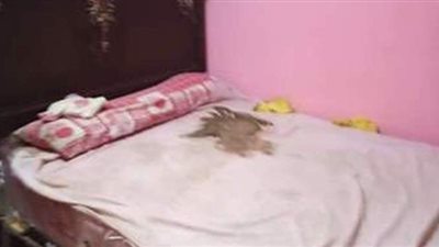 أول تحرك برلماني بعد واقعة وفاة رضيع الدقهلية