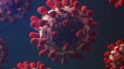 الصحة العالمية: ١٠ لقاحات لفيروس كورونا في مراحل التجارب النهائية