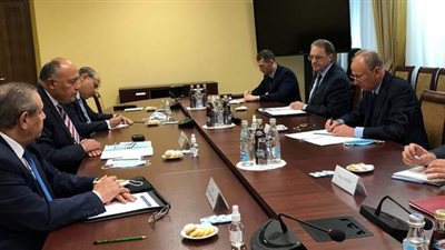 سامح شكري وسكرتير عام مجلس الأمن القومي الروسي يبحثان عدداً من القضايا الإقليمية والدولية