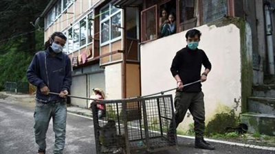 آلاف القردة تروع مدينة سياحية هندية