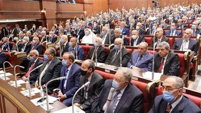 جزاءات يتعرض لها نواب الشيوخ حال الإخلال بواجبات العضوية.. تعرف عليها
