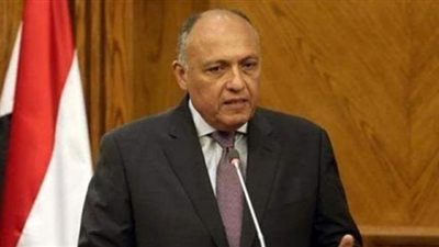 سامح شكري يستقبل رئيس لجنة العلاقات الخارجية بالبرلمان الروسي