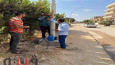 عزل وتأمين أعمدة الكهرباء في «الشرقية» استعدادا لموسم الشتاء | صور