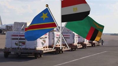 نائب رئيس زيمبابوى يشكر مصر لمساعدة بلاده لمواجهة كورونا