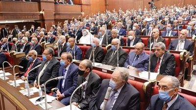 ضوابط وإجراءات تشكيل اللجان النوعية بمجلس الشيوخ