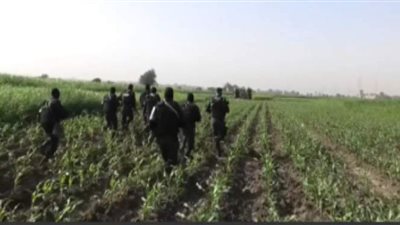 الأمن العام ينفذ 74 ألف حكم قضائي ويضبط 242 تاجر مخدرات