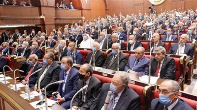 من نص القانون.. تعرَّف على اختصاصات مجلس الشيوخ