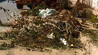 رفع 42 طن رديم ومخلفات تقليم الأشجار بنطاق حي غرب الإسكندرية