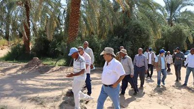 وفد من منظمة الفاو العالمية يصل الوادى الجديد لحل مشاكل التصحر