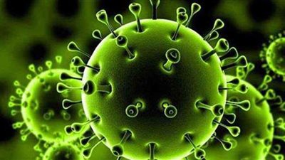 حميات إمبابة تحذر: الفترة المقبلة مثالية لانتشار فيروس كورونا