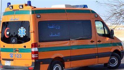 سقطت من أعلى سلم المنزل.. مصرع طفلة في الدقهلية