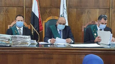 الإدارية العليا: البناء على الأراضى الزراعية ينال من حقوق الدولة والفلاحين