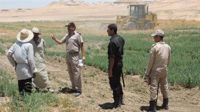 الوادي الجديد تنفذ قرارت  إزالة تعديات على 11 فدانا بمركز الخارجة