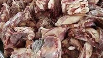 مصادرة طن لحوم ودواجن فاسدة داخل مطعم شهير في باب الشعرية