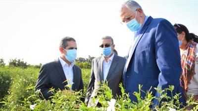 وزير الزراعة: الغربية واحدة من أكبر مراكز تجميع الألبان وإقامة الصوب الزراعية