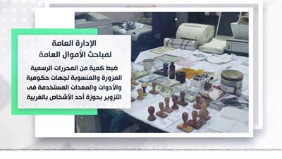 ضبط قضايا غسيل أموال وتهرب ضريبي واتجار بالنقد الأجنبى بـ 169 مليون جنيه| فيديو