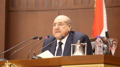 رئيس مجلس الشيوخ: مستقبل وطن لا يشتري المقاعد بالمال.. والوضع الحزبي لا يرضي أحدًا
