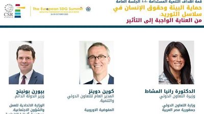 المشاط : التنمية المستدامة  تساهم في تعزيز الصادرات للدول النامية