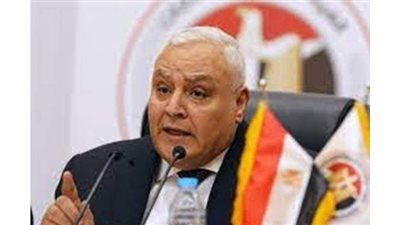 الوطنية للانتخابات: نسبة المشاركة بانتخابات مجلس النواب بلغت 28.6%