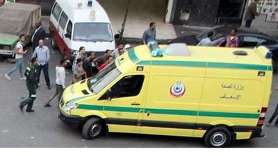 مصرع شاب في حادث تصادم على طريق بني عبيد بالدقهلية