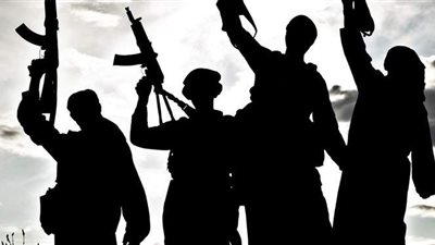 محلل سياسي: السنوات الماضية كشفت مؤامرات الإسلاميين  وفضحت مخططاتهم التخريبية