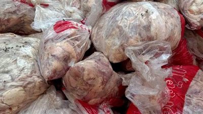 ضبط 30 طن لحوم ودواجن فاسدة بالجيزة | صور
