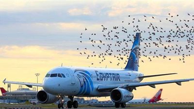 مصر للطيران تنظم اليوم ٣٦ رحلة جوية لنقل ٣٧٠٠ راكب إلى عدة وجهات