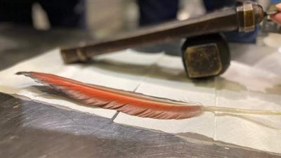 ضبط راكب أجنبي حاول تهريب قطع أثرية بمطار القاهرة | صور