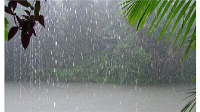 10 نصائح  للمزارعين لمواجهة الاثار السلبية لتساقط الأمطار المتوقع على عدة مناطق